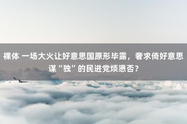 裸体 一场大火让好意思国原形毕露，奢求倚好意思谋“独”的民进党烦懑否？