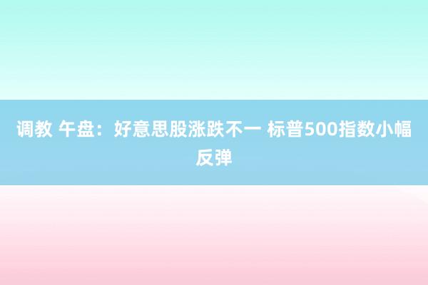 调教 午盘：好意思股涨跌不一 标普500指数小幅反弹