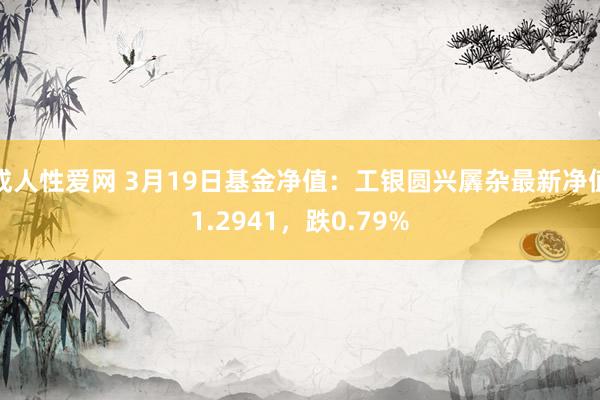 成人性爱网 3月19日基金净值：工银圆兴羼杂最新净值1.2941，跌0.79%